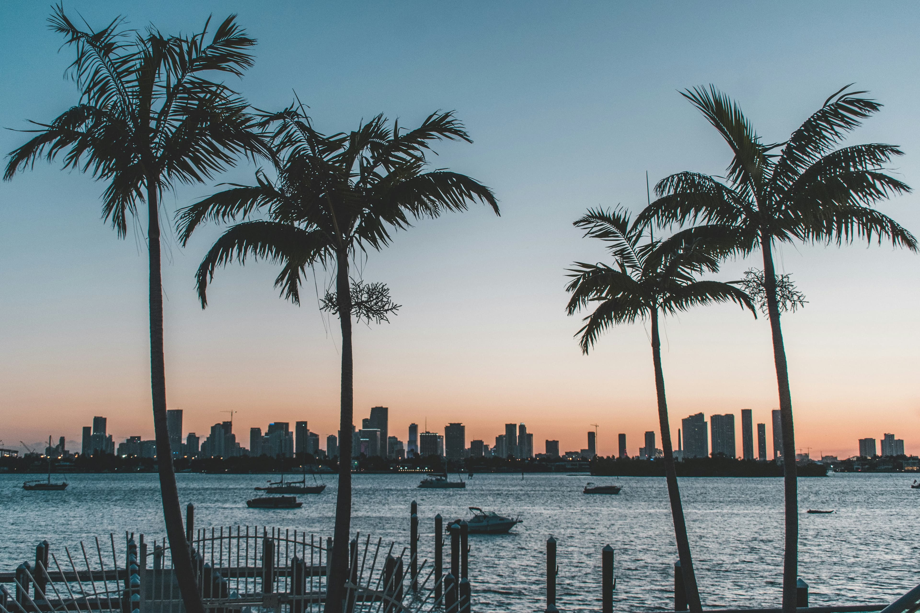 Miami on the water